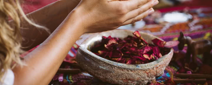 Intieme Ayahuasca-retraite