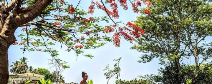 Patanjali Yoga Sutra-cursus
