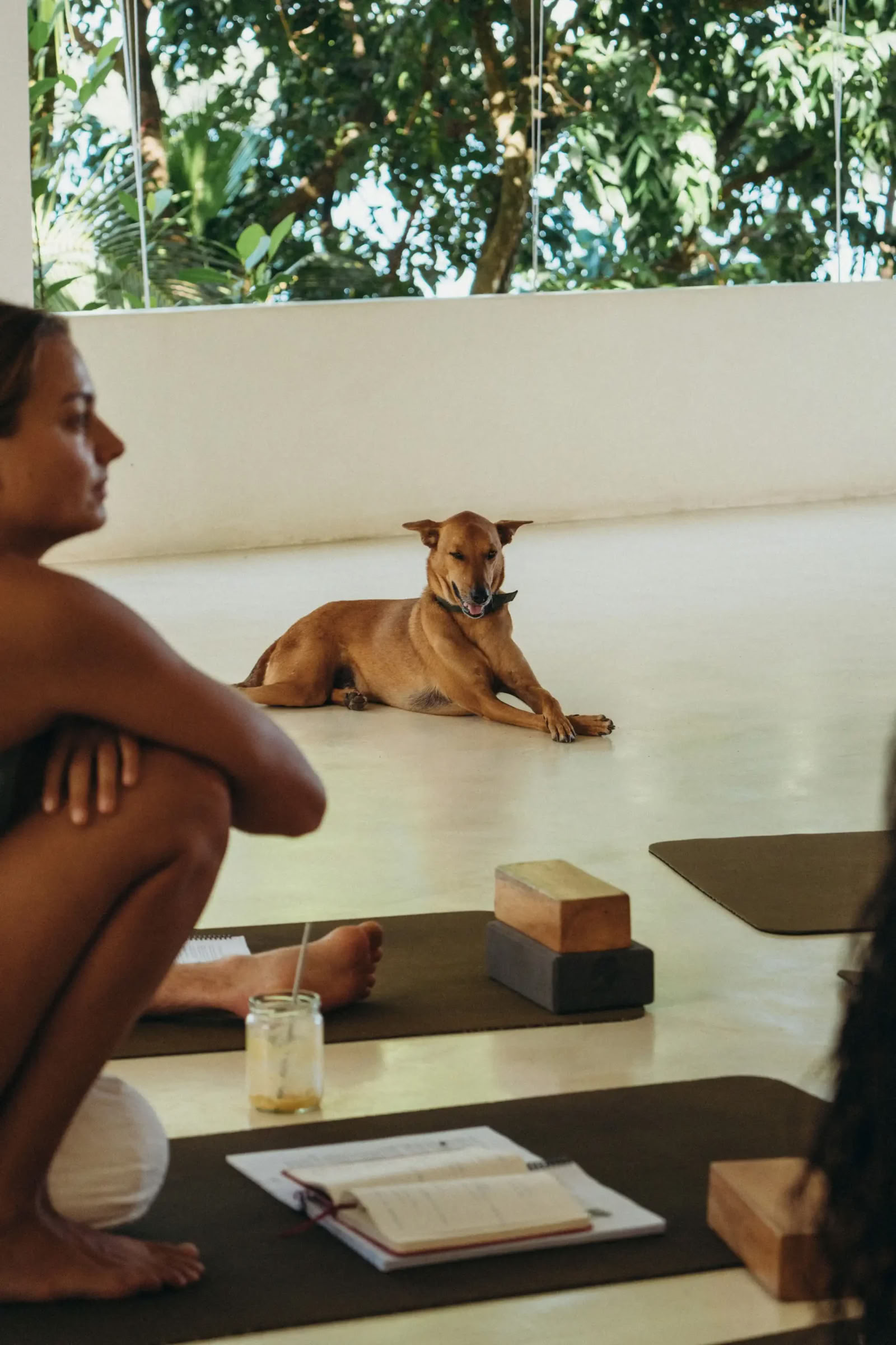 Synergie Vinyasa Yogaretreat bij Lanka Yoga