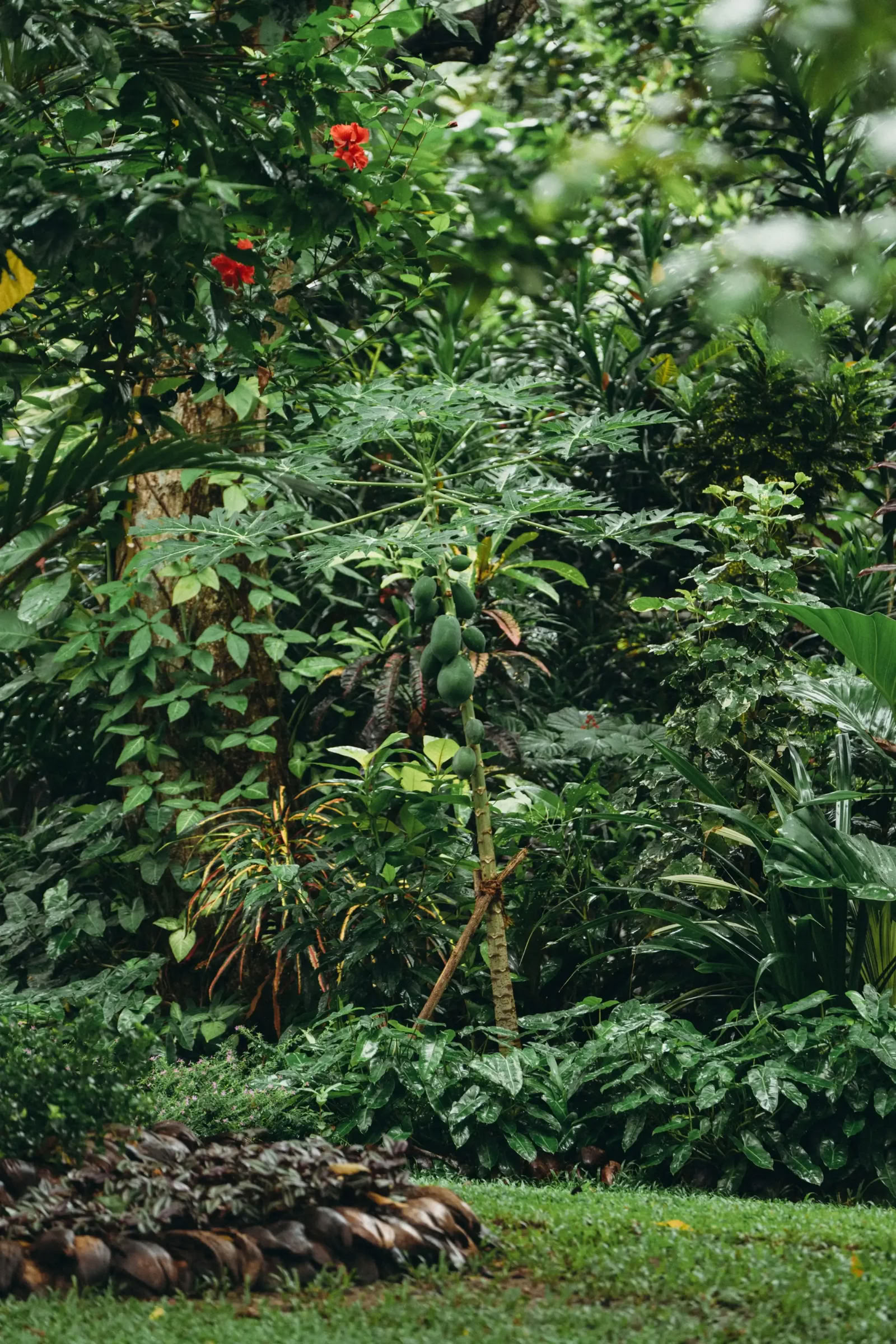Reset-yogaretraite Sri Lanka