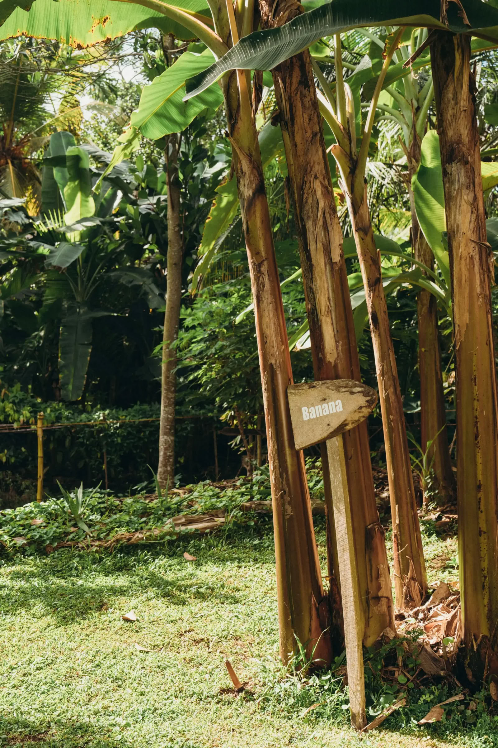 100-uurs Vinyasa- + Yin-ytt