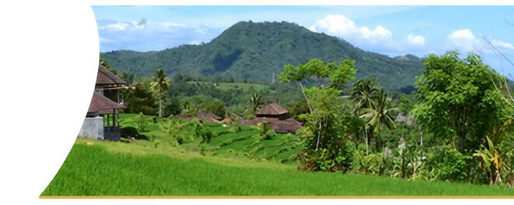 Genezingsweek op Bali