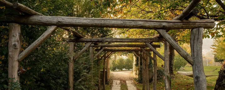 HeartCore – Somatica, Ademhaling & Meditatie