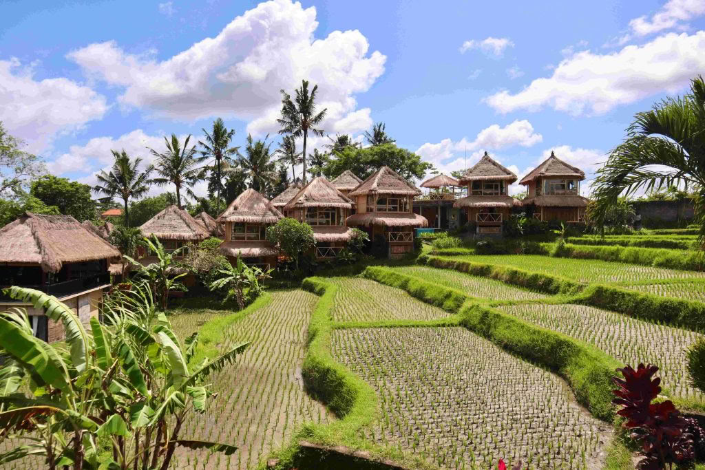 200-uurs yogadocentenopleiding Ubud, Bali | RYT 200-cursus – 30 aug - 19 sep