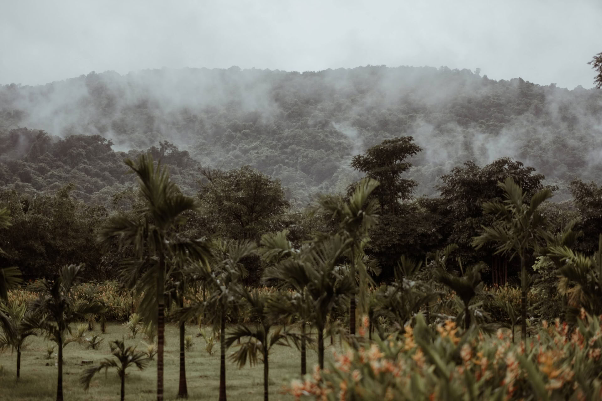Dimora di Datu Goa – Een terugkeer naar de bron