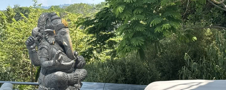 KAP & Energetische Genezing Kundalini-Activatieproces