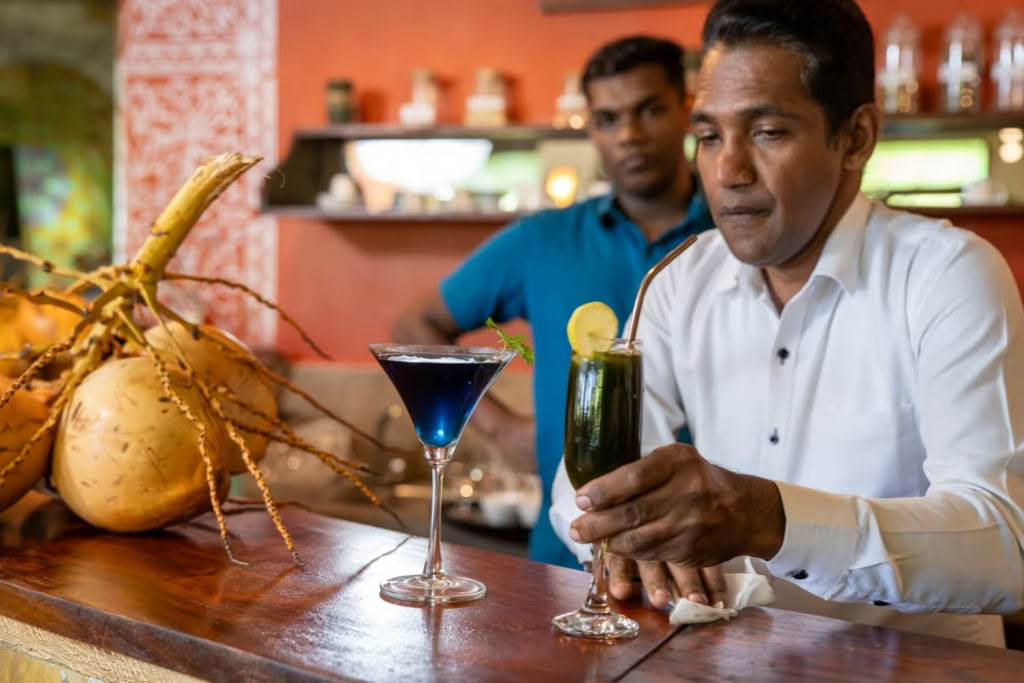 Terugkeer naar Stralendheid: Ayurvedisch Langlevensretraite op Sri Lanka
