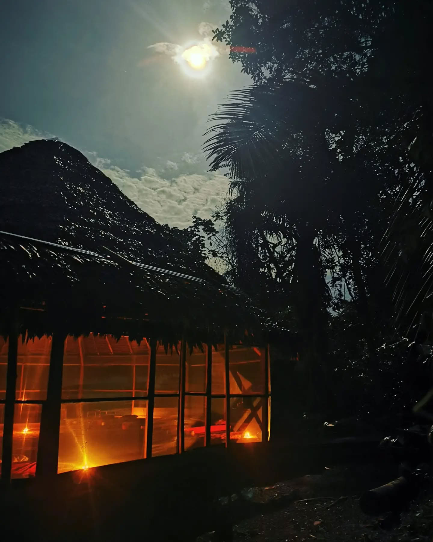 7-daagse ayahuasca-retraite