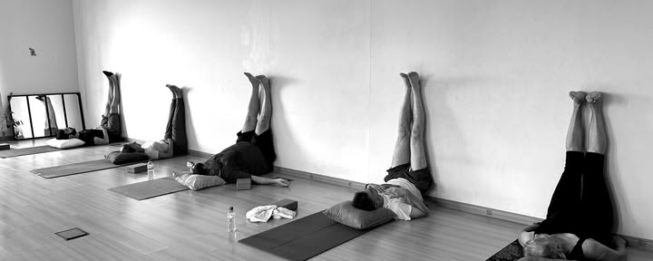 Sattva Vinyasa