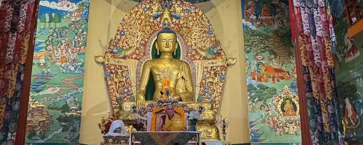 Himalaya Wellnessretreat