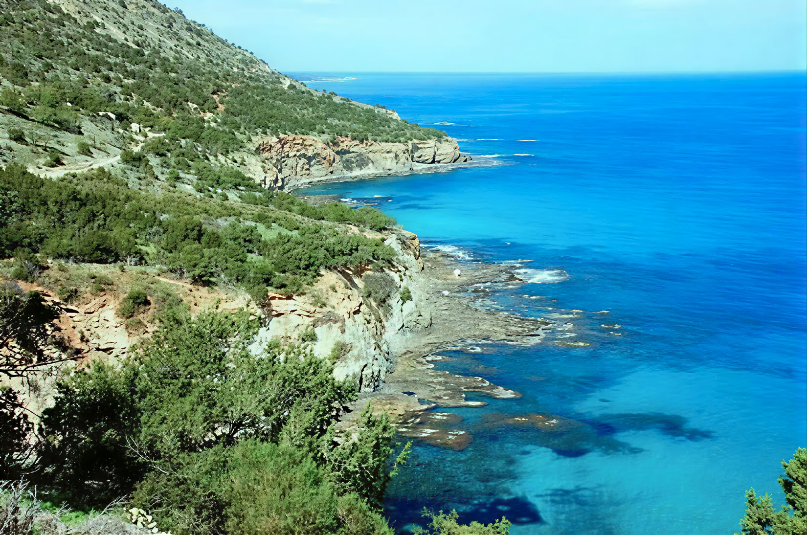 Cyprus Lichaamsreset- en Vernieuwingsretreat
