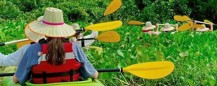 Cambodja - Tempels, fietsen, watervallen, wandelen en kajakken avontuur — DBC Health Retreats Europa Retreats 2024