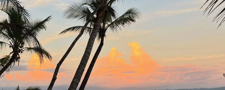 Yoga & Surfen op het Osa-schiereiland, 13-20 maart 2027 — ASHTANGA MONTAUK