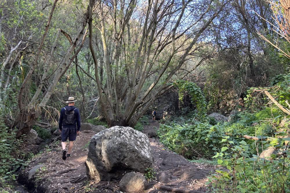 Suppen en yogaretreat op Gran Canaria