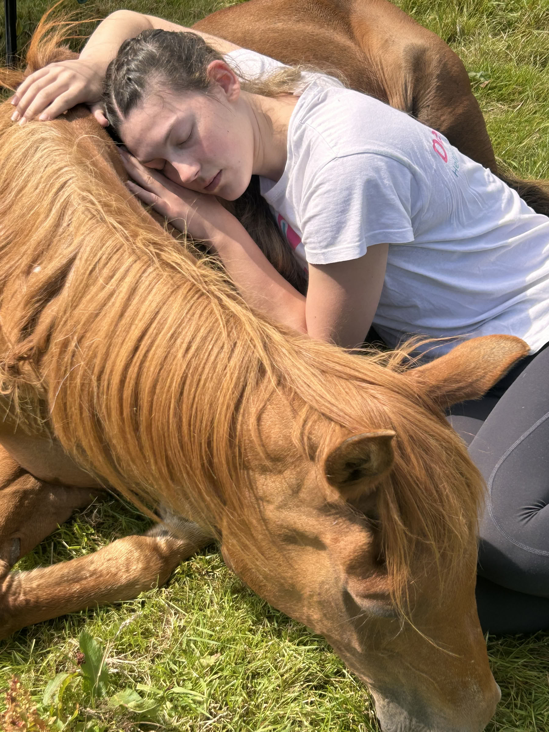 Stille Heling met Paarden – 27 sep - 2 okt