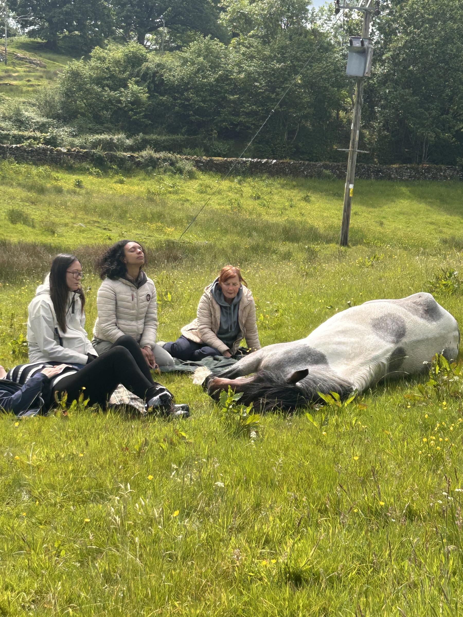 Stille heling met paarden - 08/11/2026 - 13/11/2026