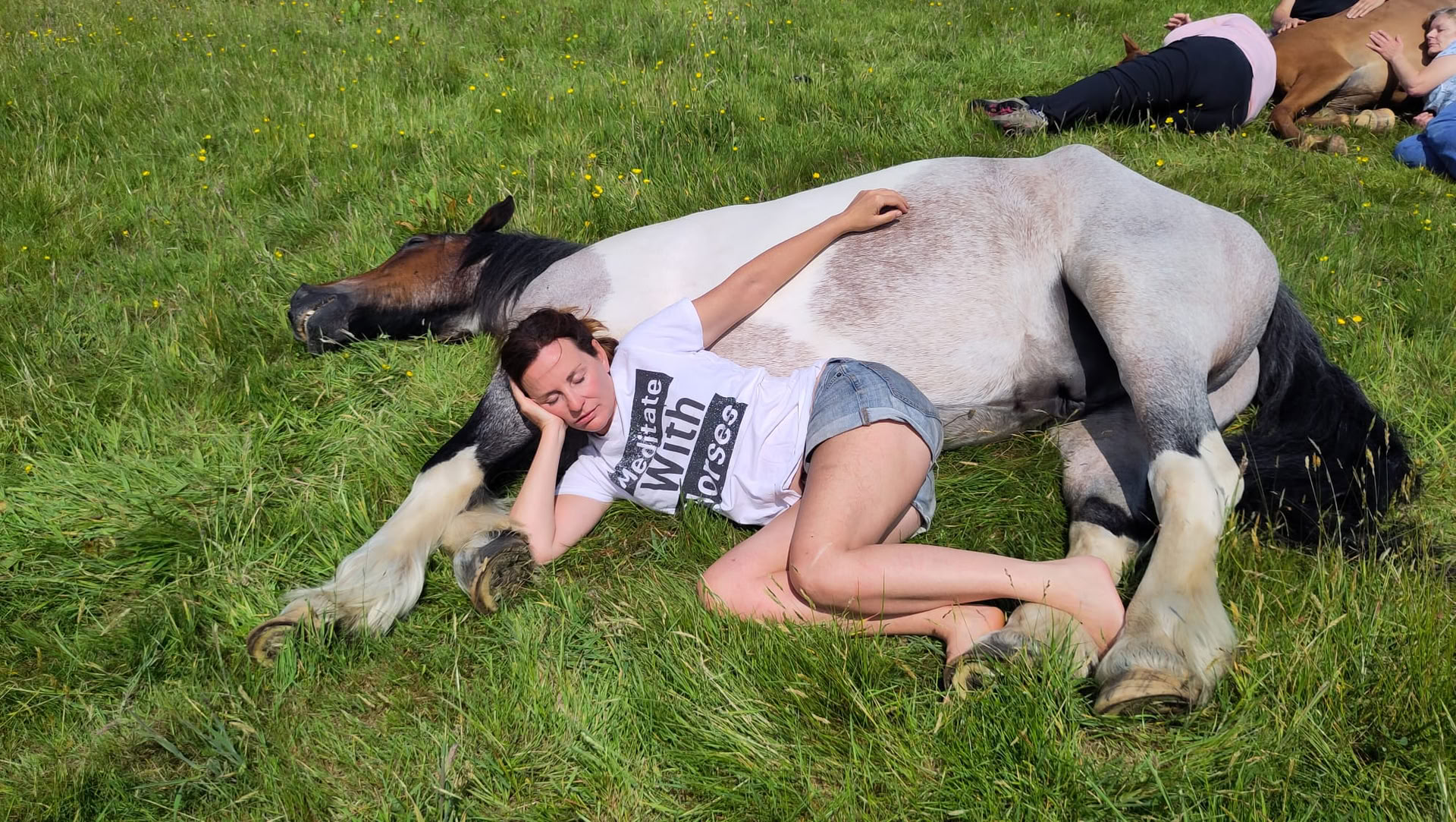 Stille heling met paarden - 08/11/2026 - 13/11/2026