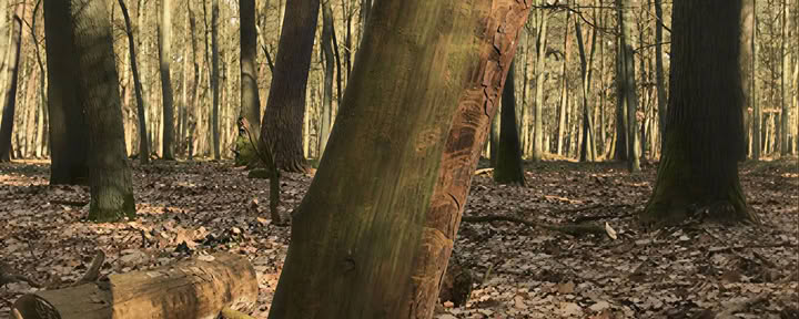 Ademwerkretreat