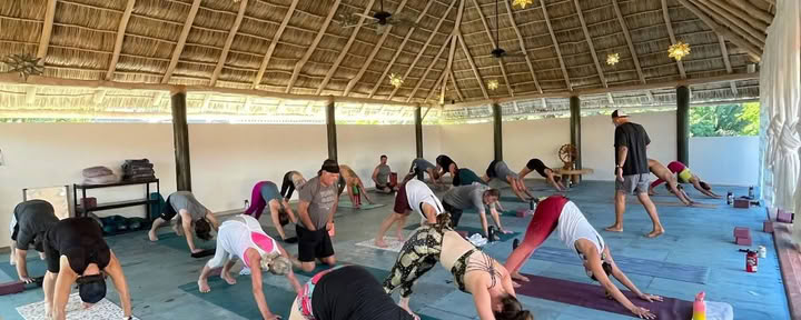 Margarita’s en chaturanga’s – een Mexicaans yoga-avontuur