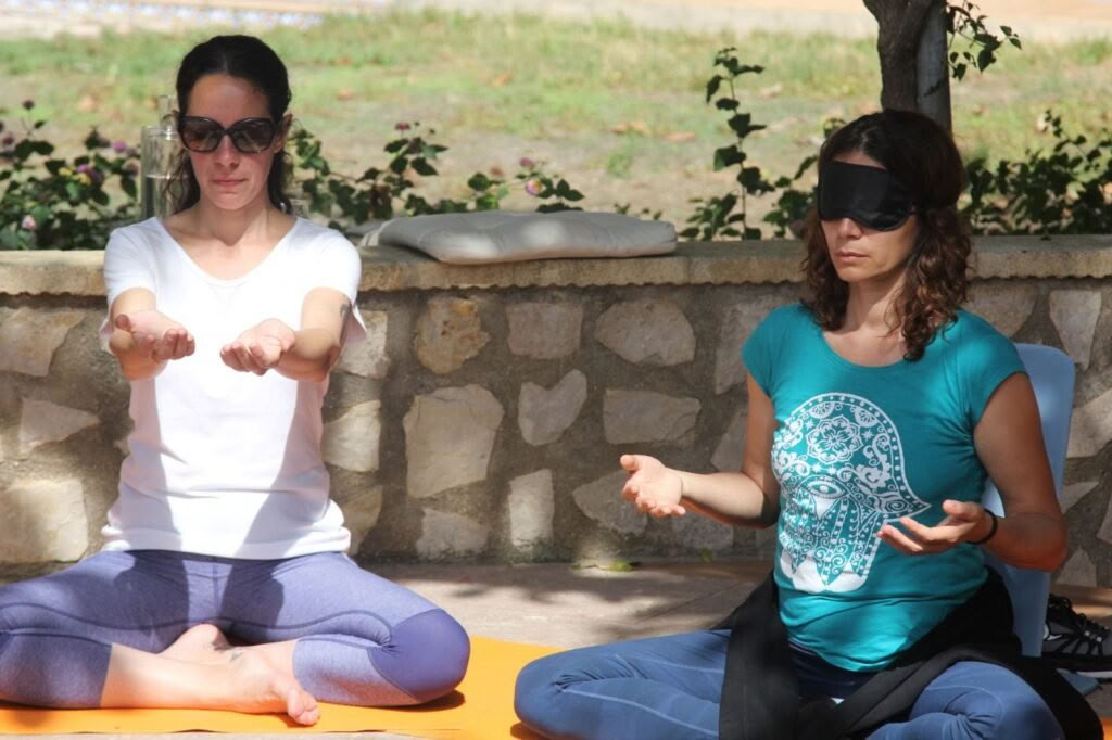 Publieke live satsang