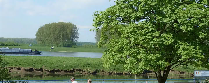 Zaterdagochtend: Argentijnse tango
