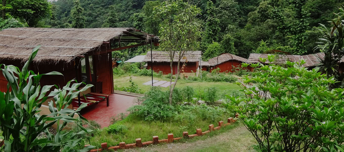 100-uurs yogadocentenopleiding in Rishikesh