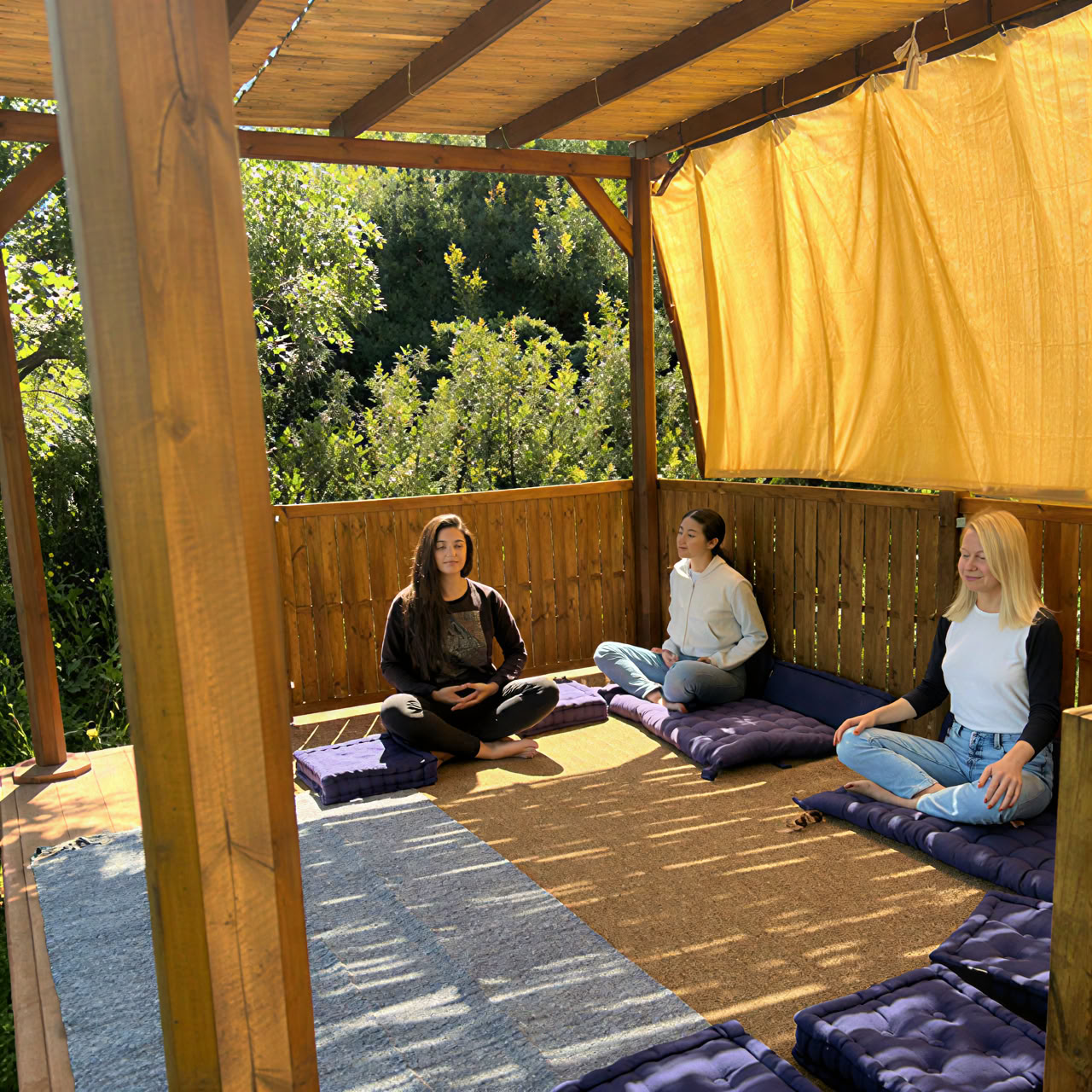 Yoga- en olijvenoogstretreat