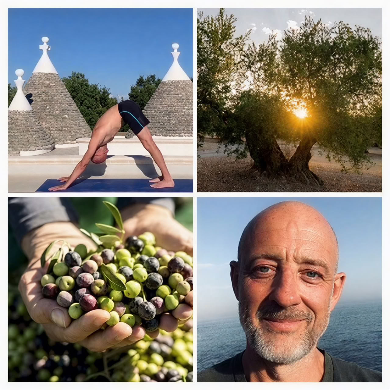Yoga- en olijvenoogstretreat