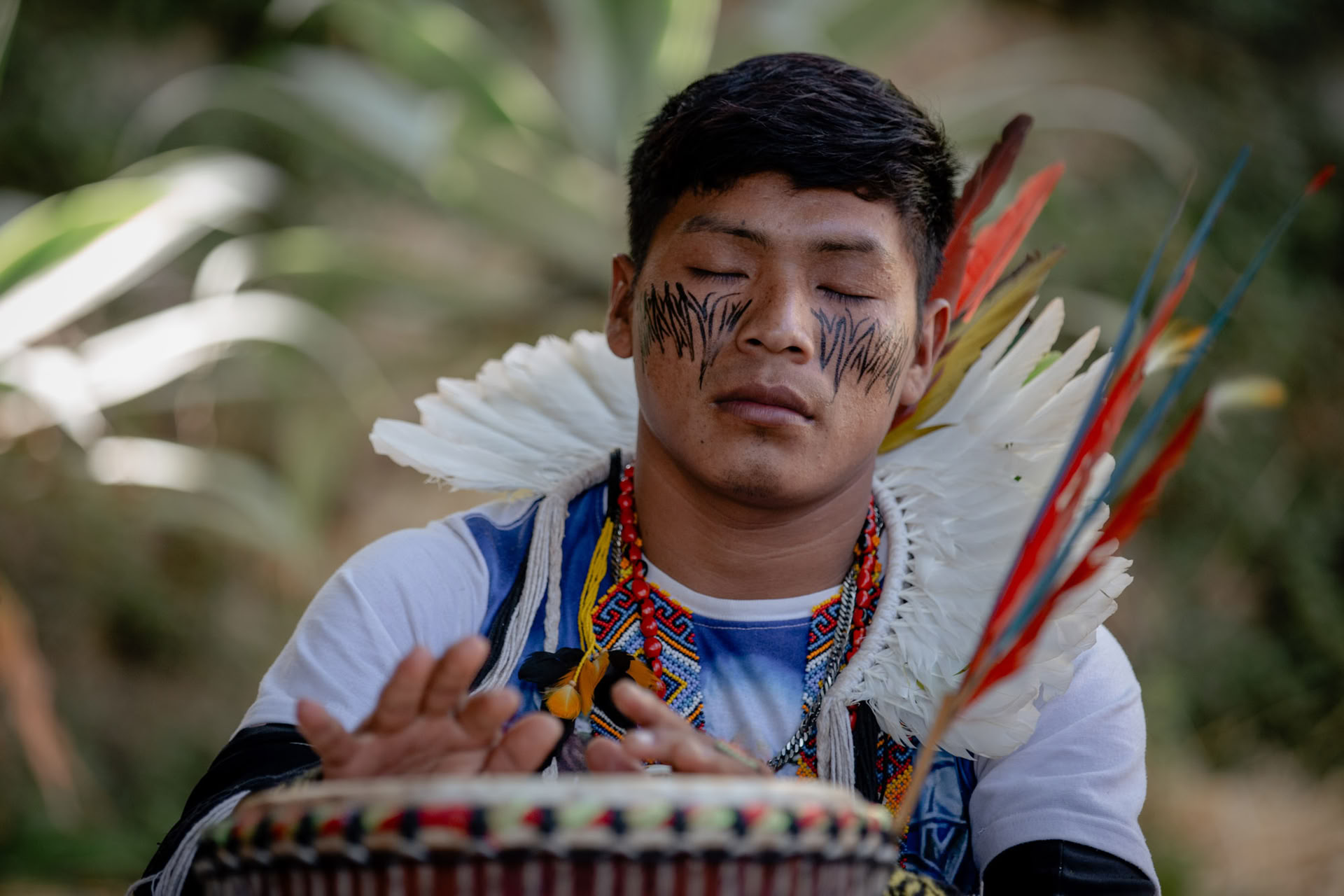 Ayahuasca-ceremonies