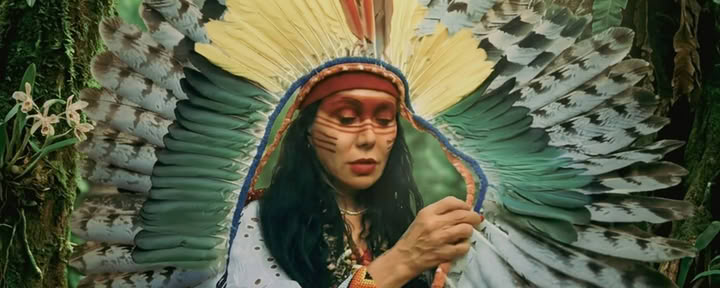 Ayahuasca-ceremonies