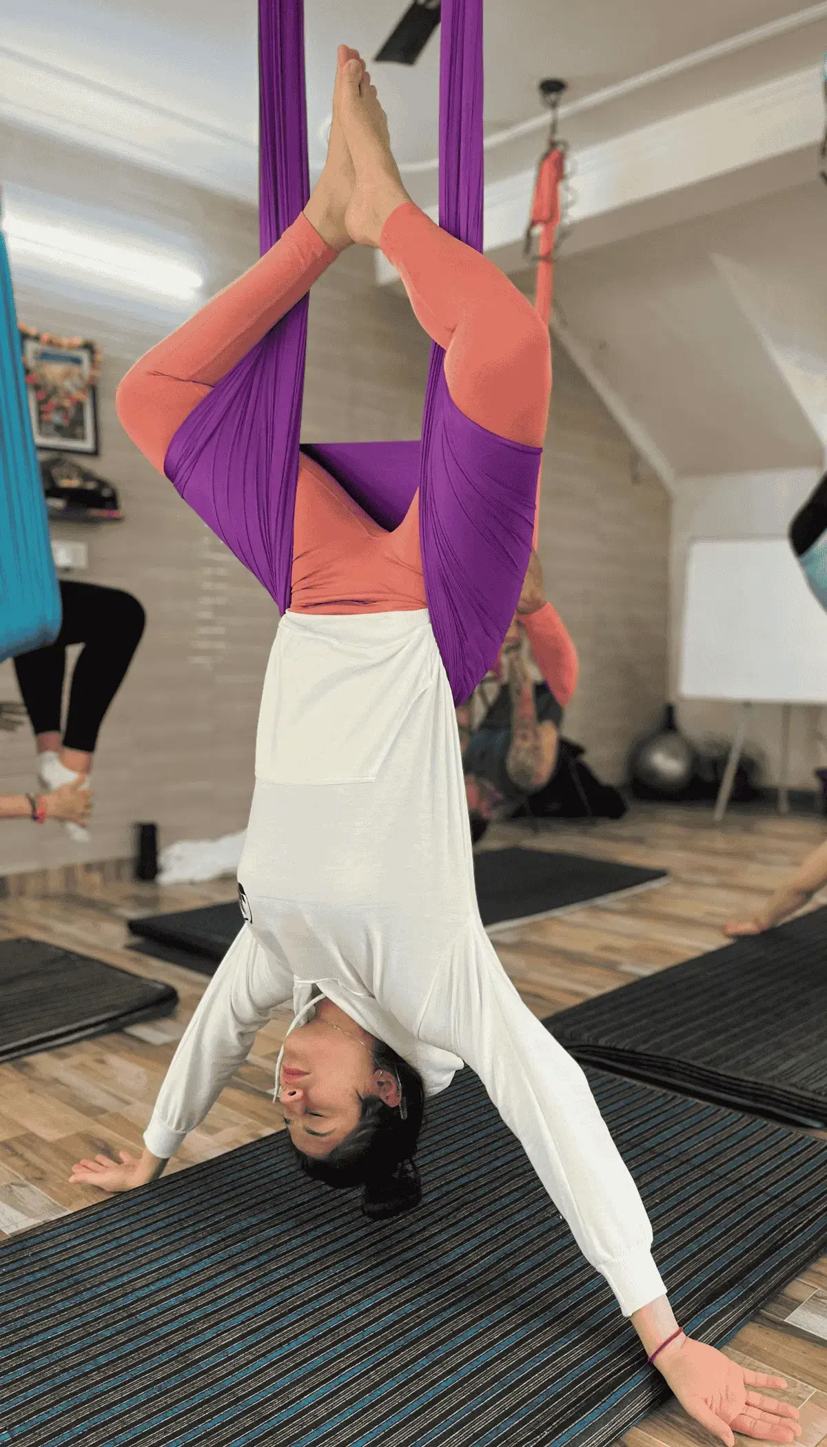 10-daagse Aerial Yogadocentenopleiding Rishikesh