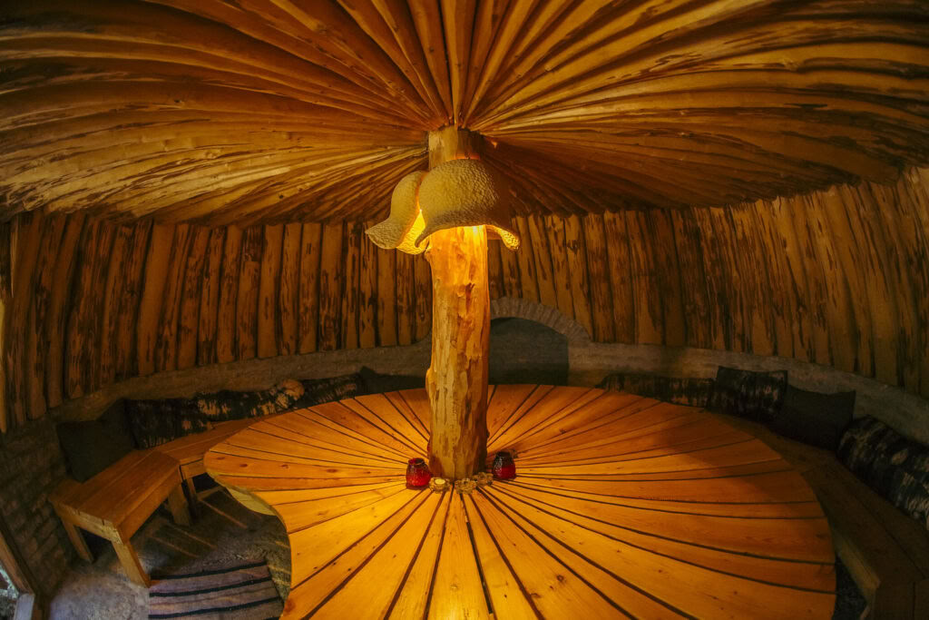 Retraite met Ayahuasca en traditionele inheemse geneeskunde