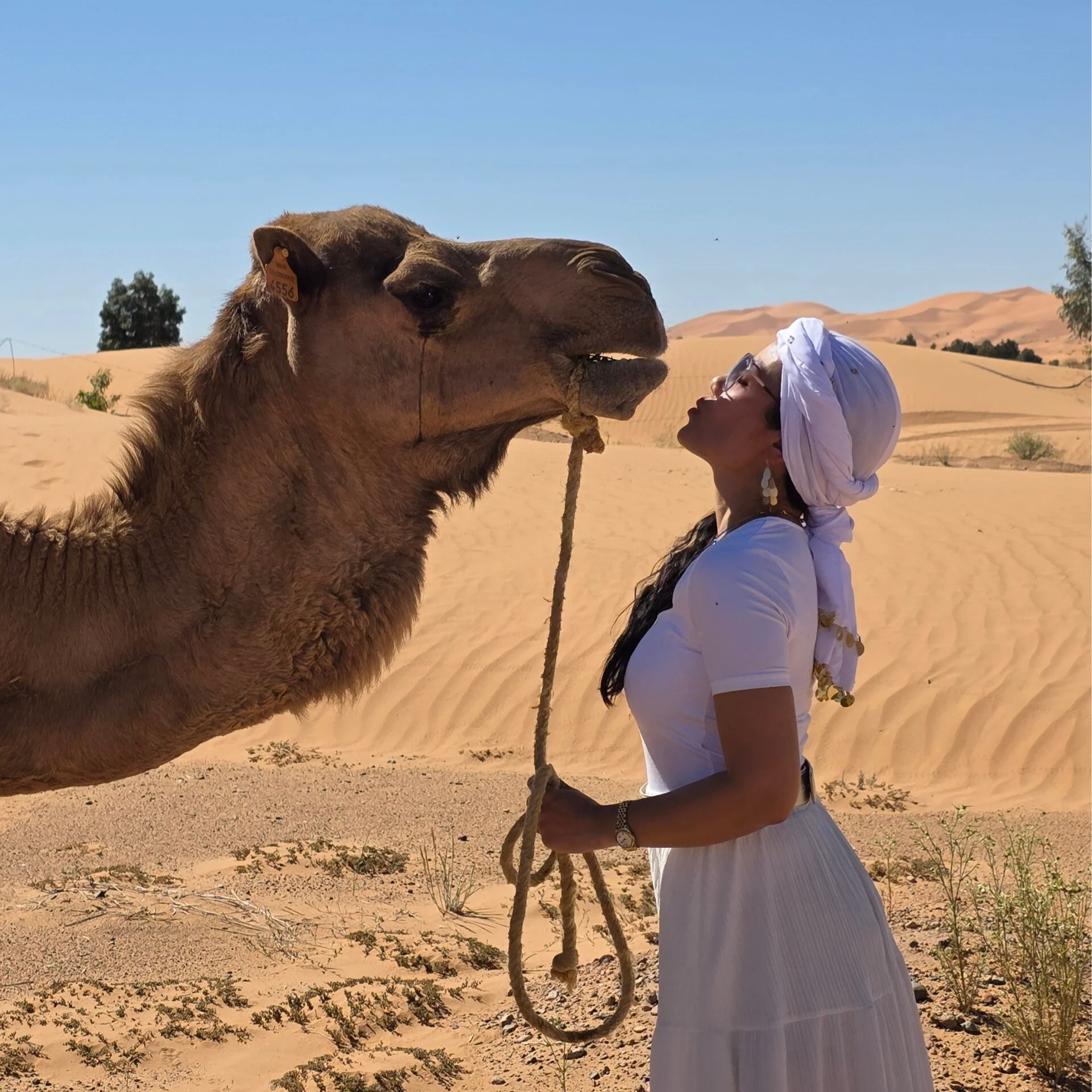 Vrouwelijk Vuur Retreat Marokko – Yoga, Dans, Cacaoceremonie & Sahara-woestijnervaring