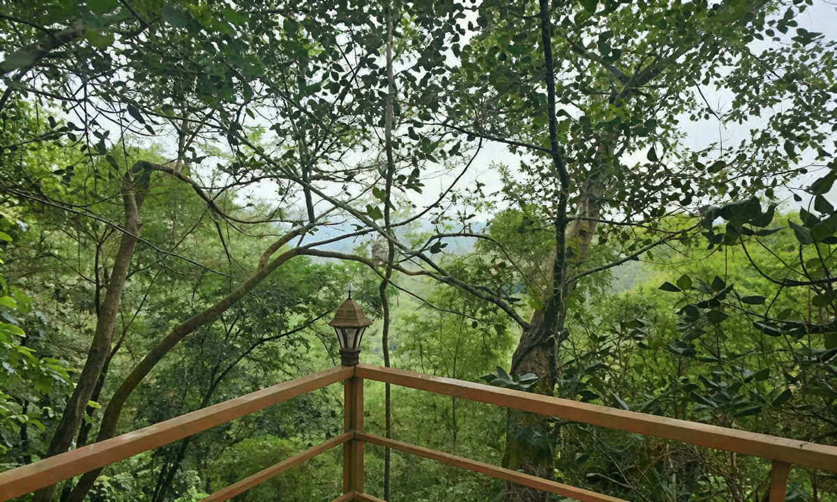 28-daagse Panchakarma-behandeling in Kerala