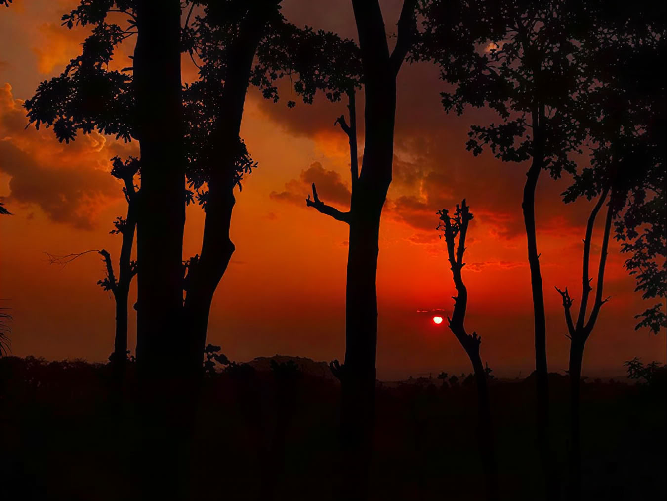 Yogacursus in Kerala