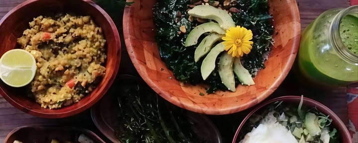 Ayurvedische Voedingscursus