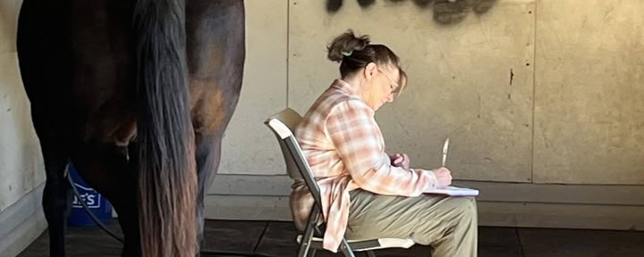 Terugkerende retraites: 4-daagse ervaringsgerichte paardenretraite voor vrouwen op een hoger niveau