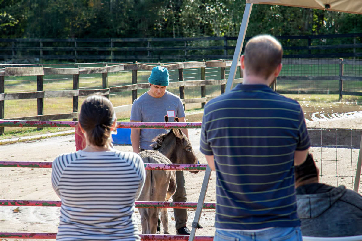 Paardenharmonie: een 3-daagse retraite voor balans en welzijn voor vrouwen