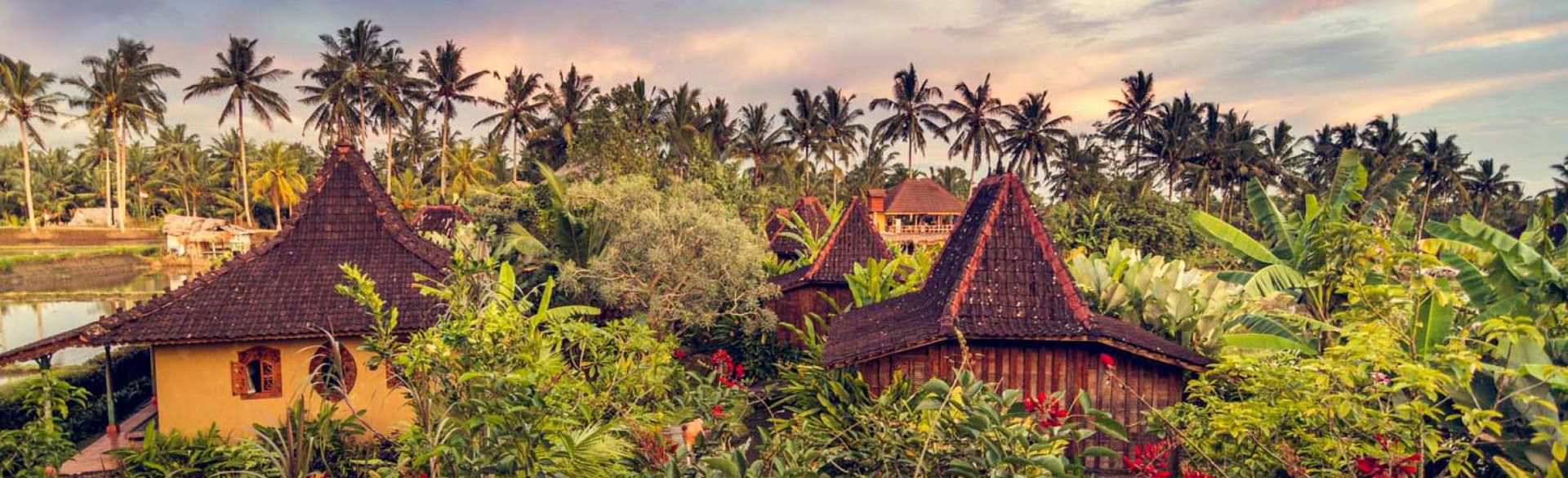 Volledige Lichaamsdetox