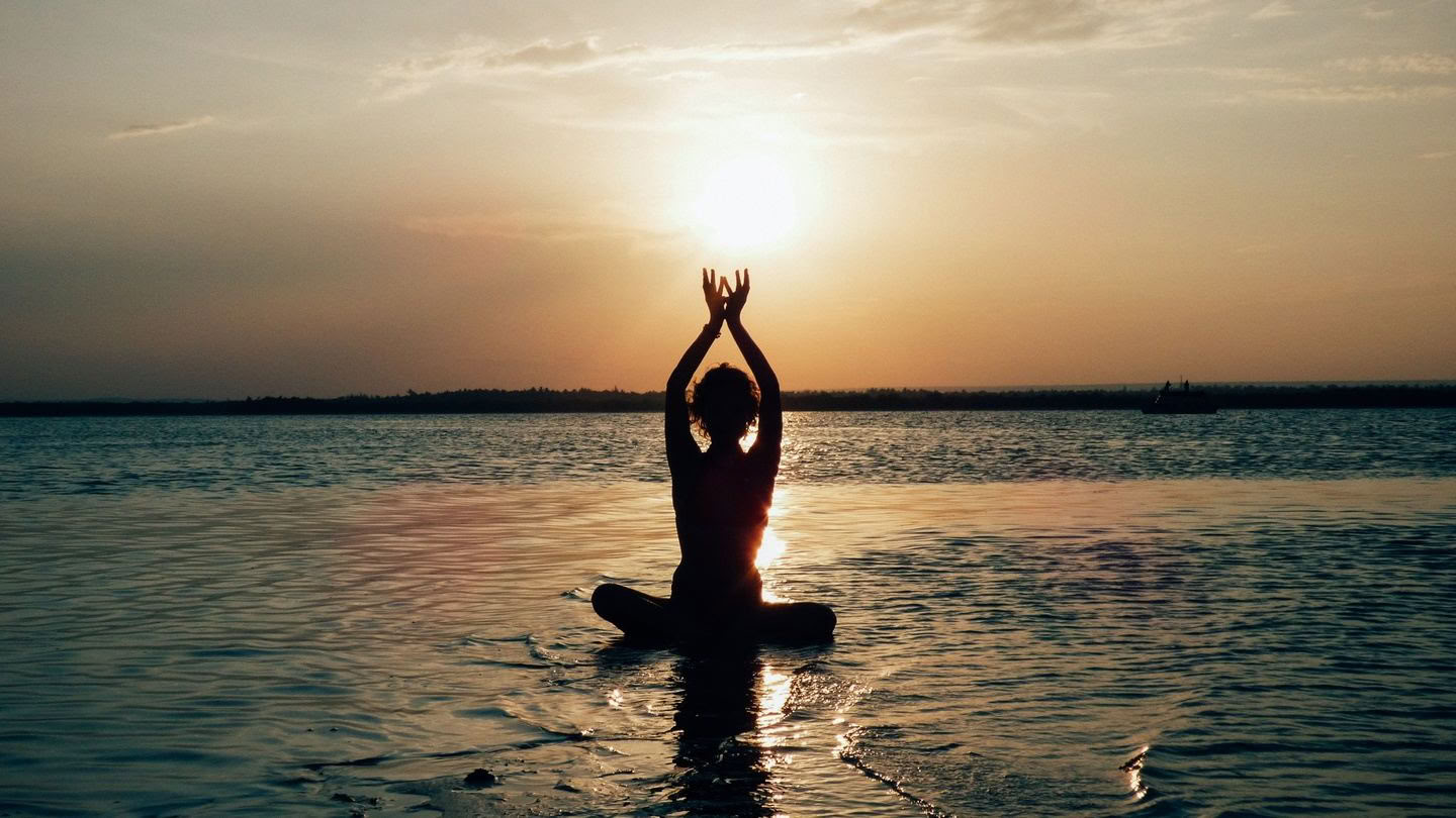 8 dagen golven, wilde dieren, wellness