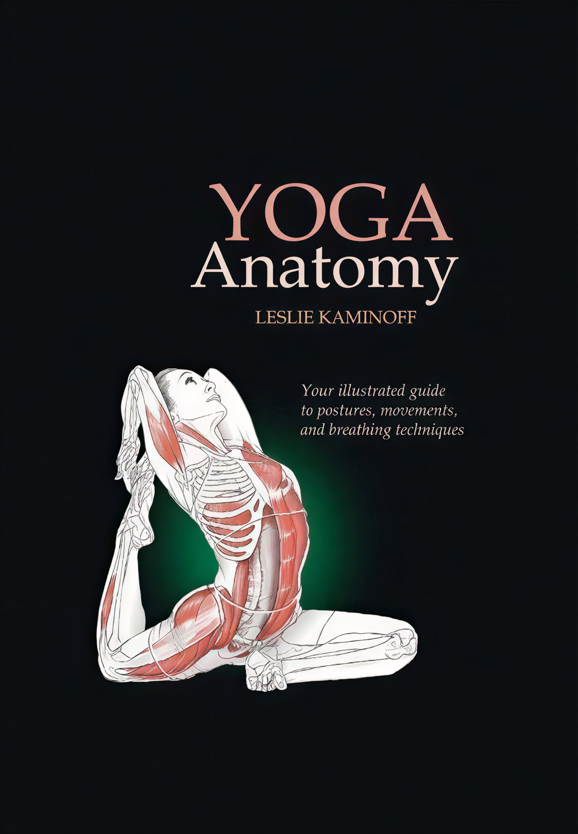 100-uurs pranayama-lerarenopleiding in Rishikesh