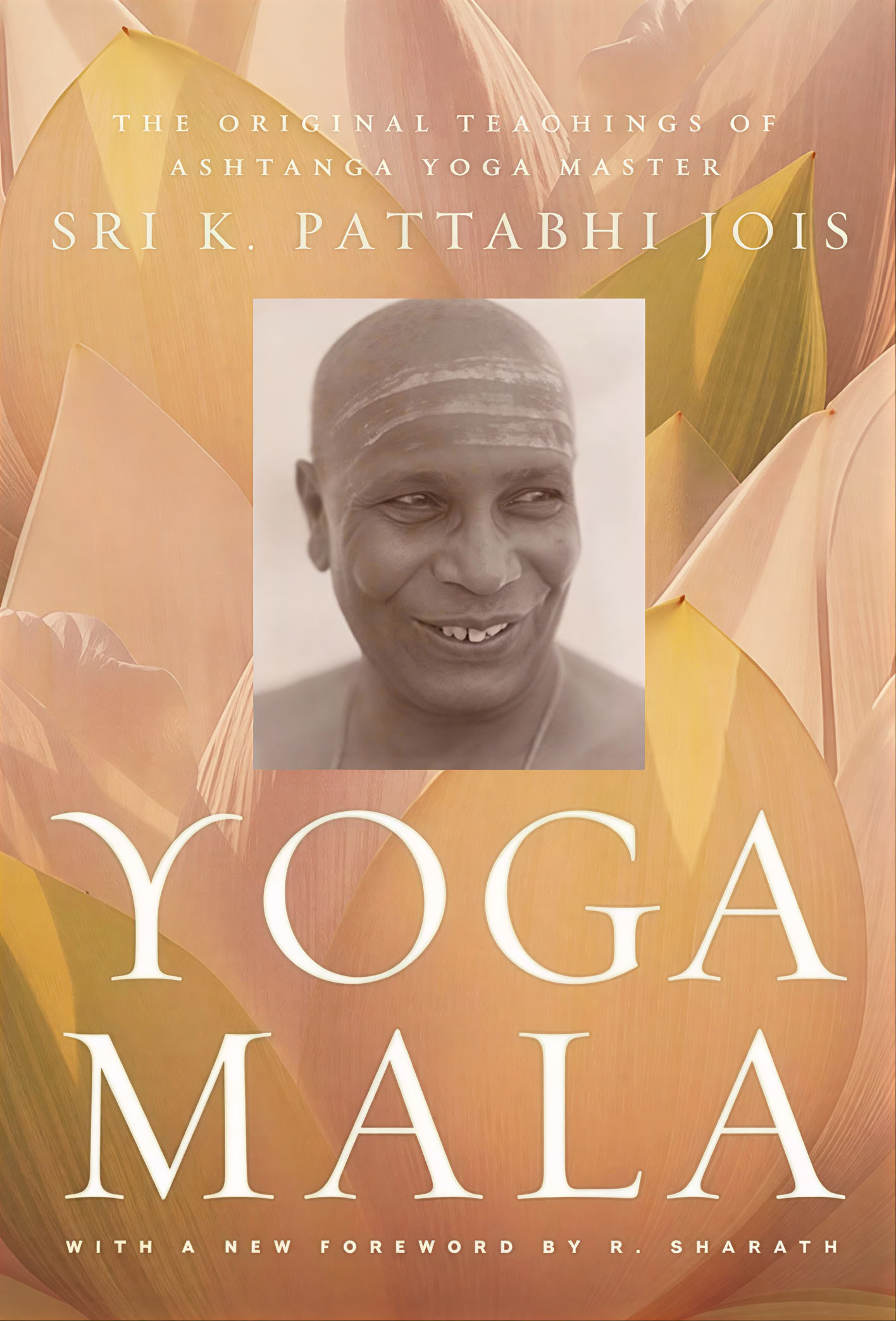 100-uurs yogadocentenopleiding voor beginners in Rishikesh, India