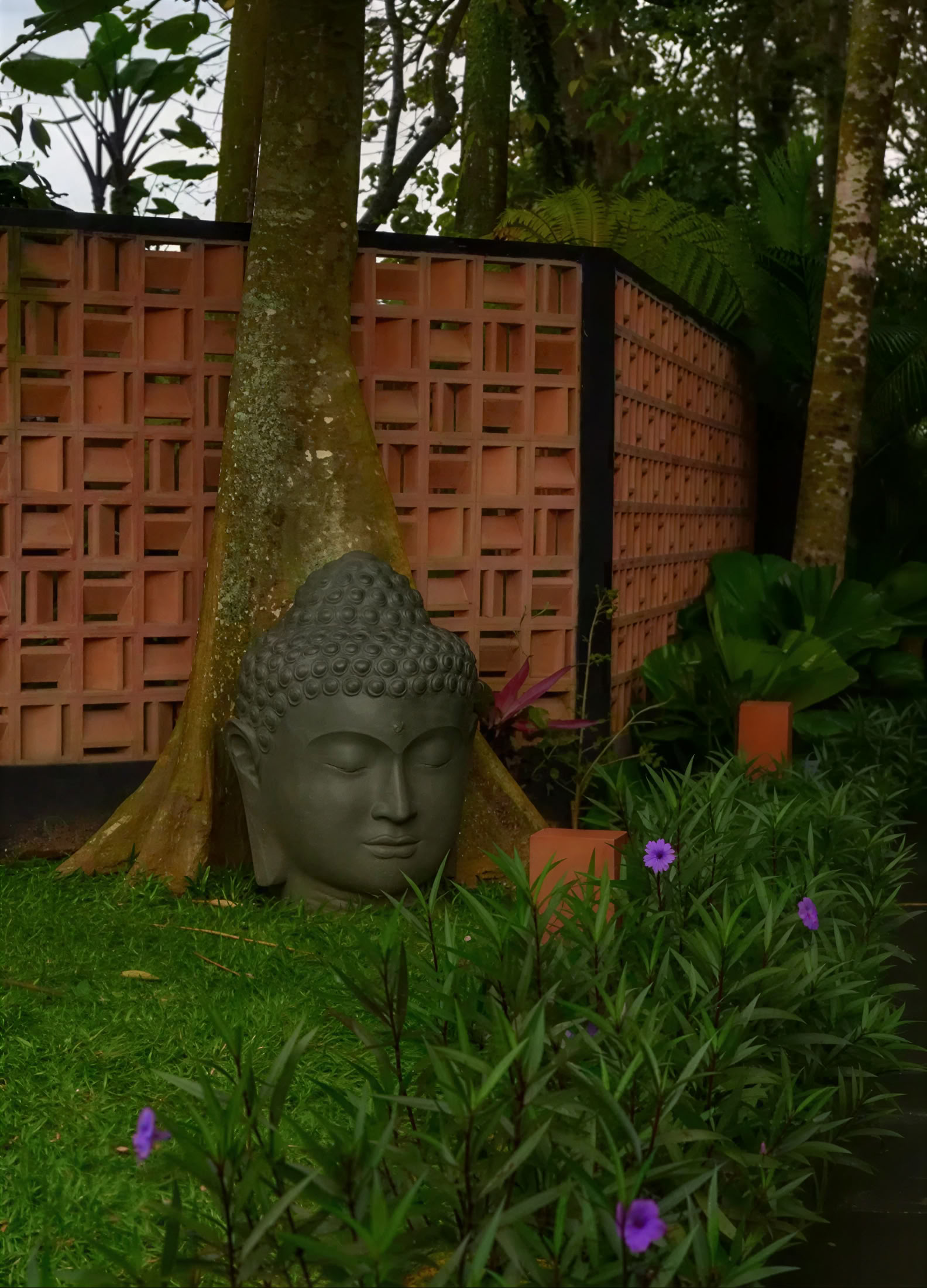 Shiroabhyanga