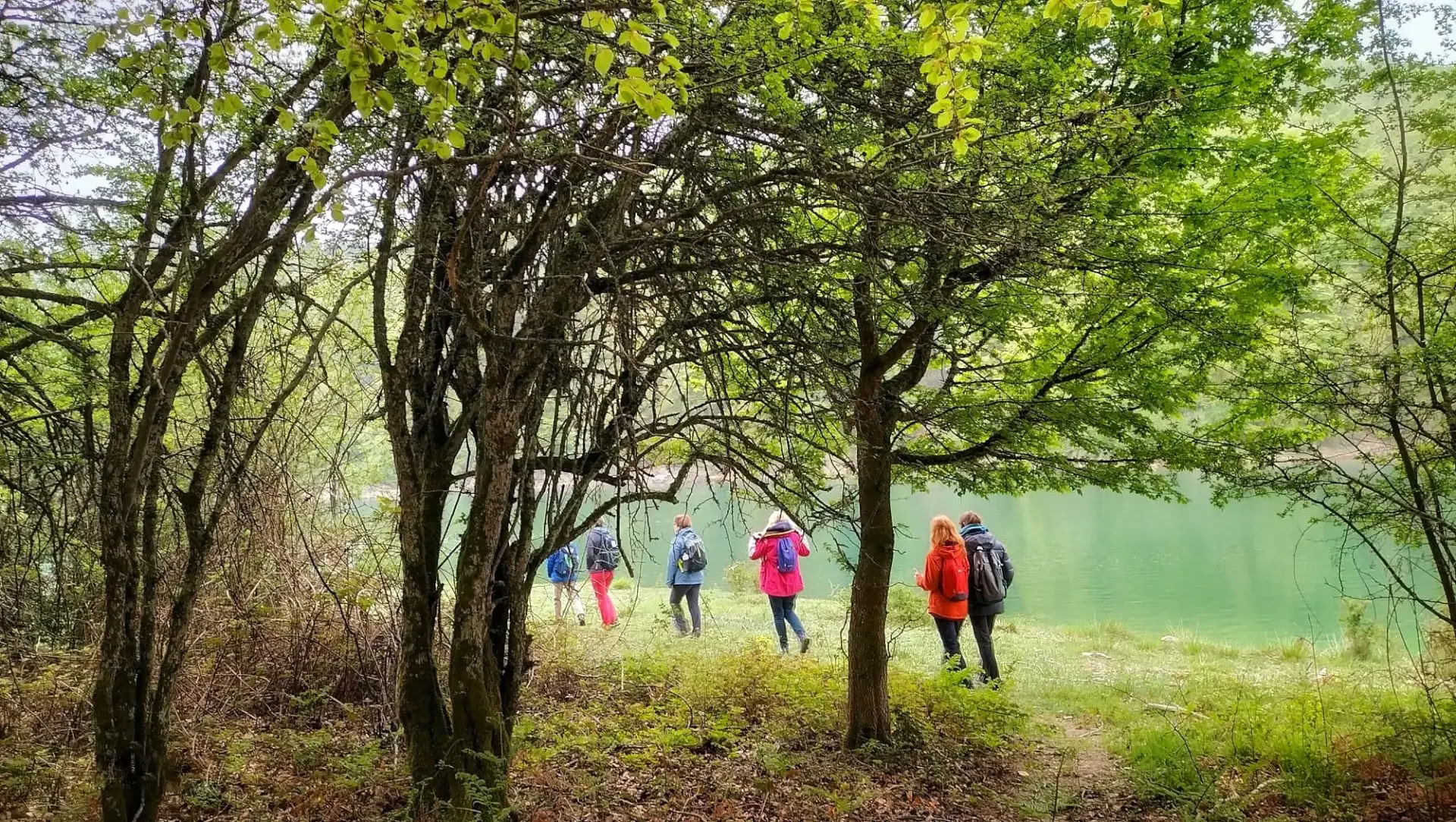 Yoga & Meditatie Heiligdom: Een Beschut Retreat in het Irati-bos