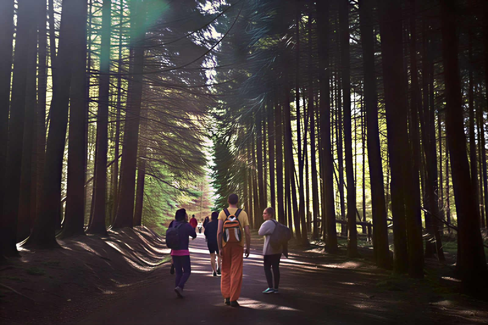 Yoga- en Natuurretreat: De Gouden Boservaring