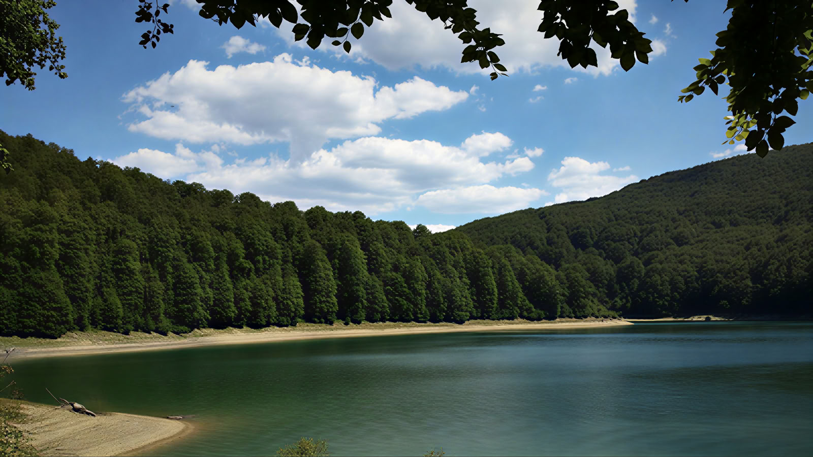 Yoga- en meditatie-retraite voor de augustusbankholiday (Pyreneeën, Irati-bos)