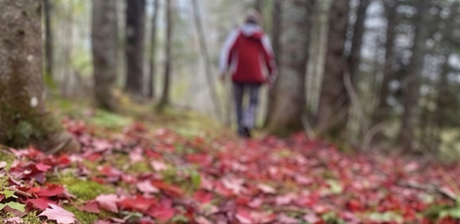 Herkader je Focus: Een Mindful Fotografie-Retreat