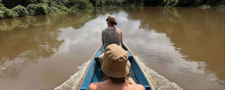 Ayahuasca-onderdompeling
