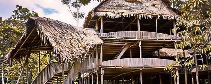 7-daagse ayahuasca-retreat