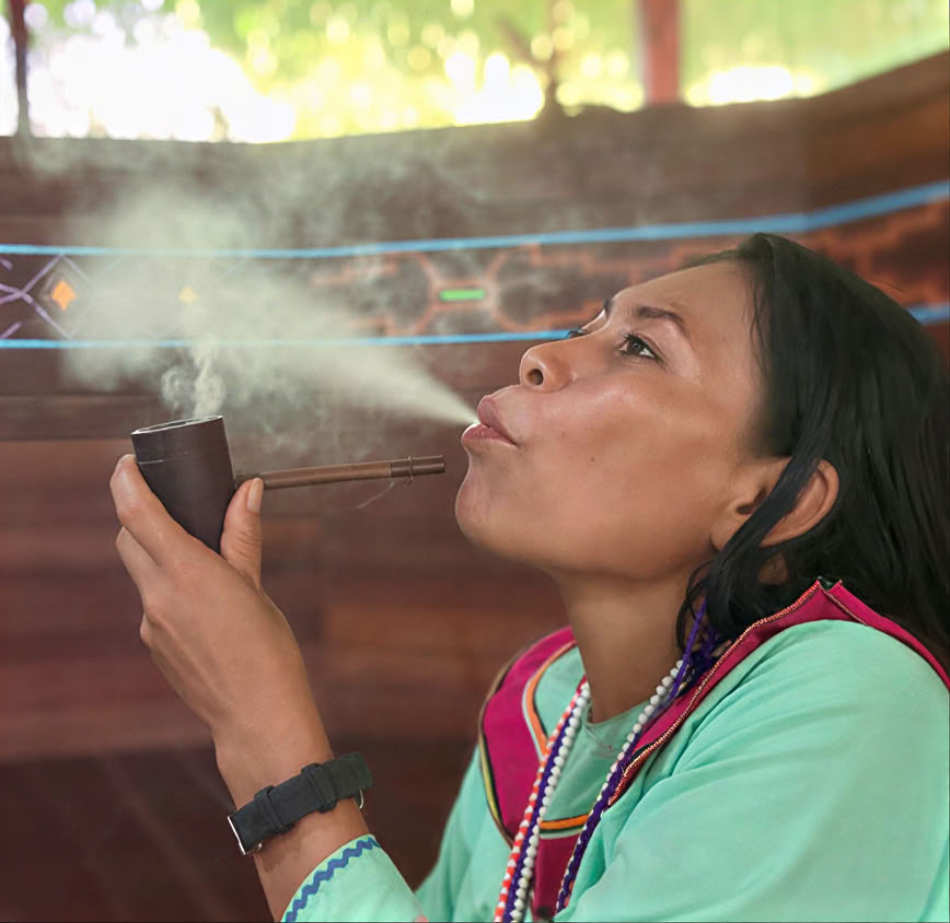 5-daagse introductie tot ayahuasca en Amazonische plantenmedicijn